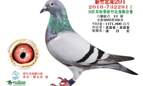 脑部延髓是什么意思专区_脑延髓在什么部位专区_延脑肿瘤的症状网