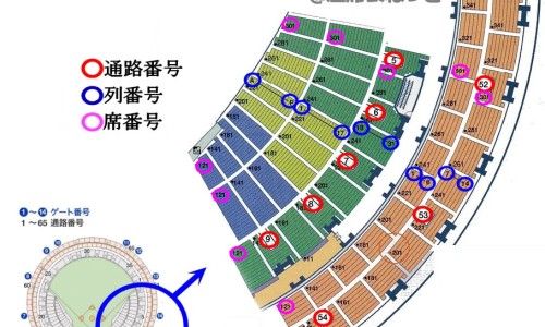 延髓脑梗是什么造成的-脑部延髓是什么意思专区_脑延髓在什么部位专区_延脑肿瘤的症状网